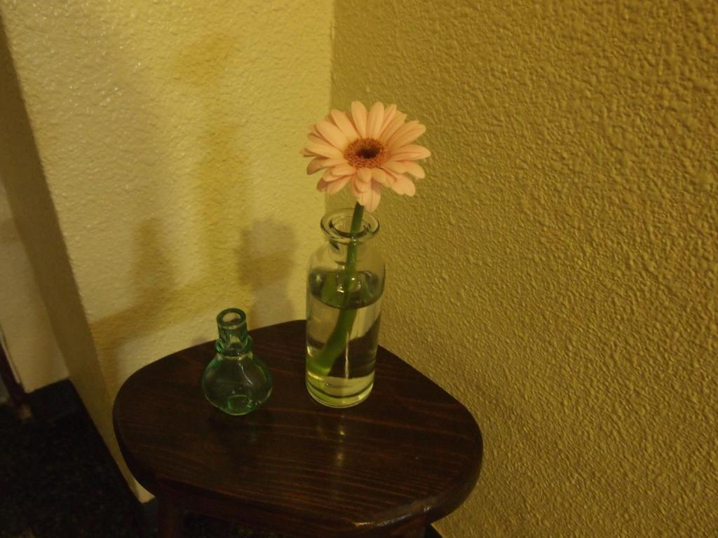 Ishigakijima Hotel Olive Ishigaki  Dış mekan fotoğraf